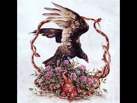 Nate Hall - Night Sky Humming (lyrics)