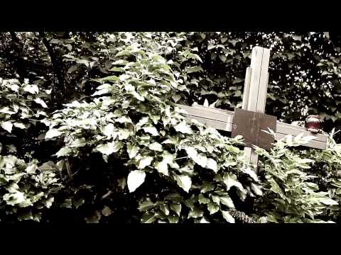 miért távolodnak a dolgok Kollár Klemencz László