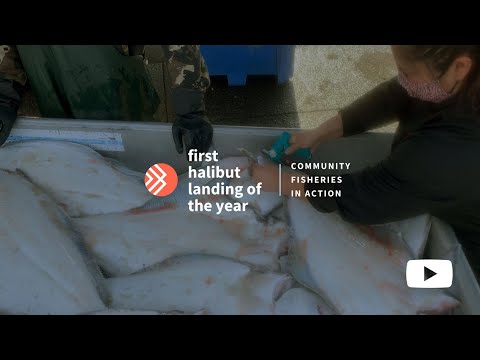 Halibut Offloading 2021 in Tofino