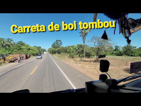 Carreta boiadeira tombou aqui na br 153 região de Fortaleza do Tabocão Tocantins.