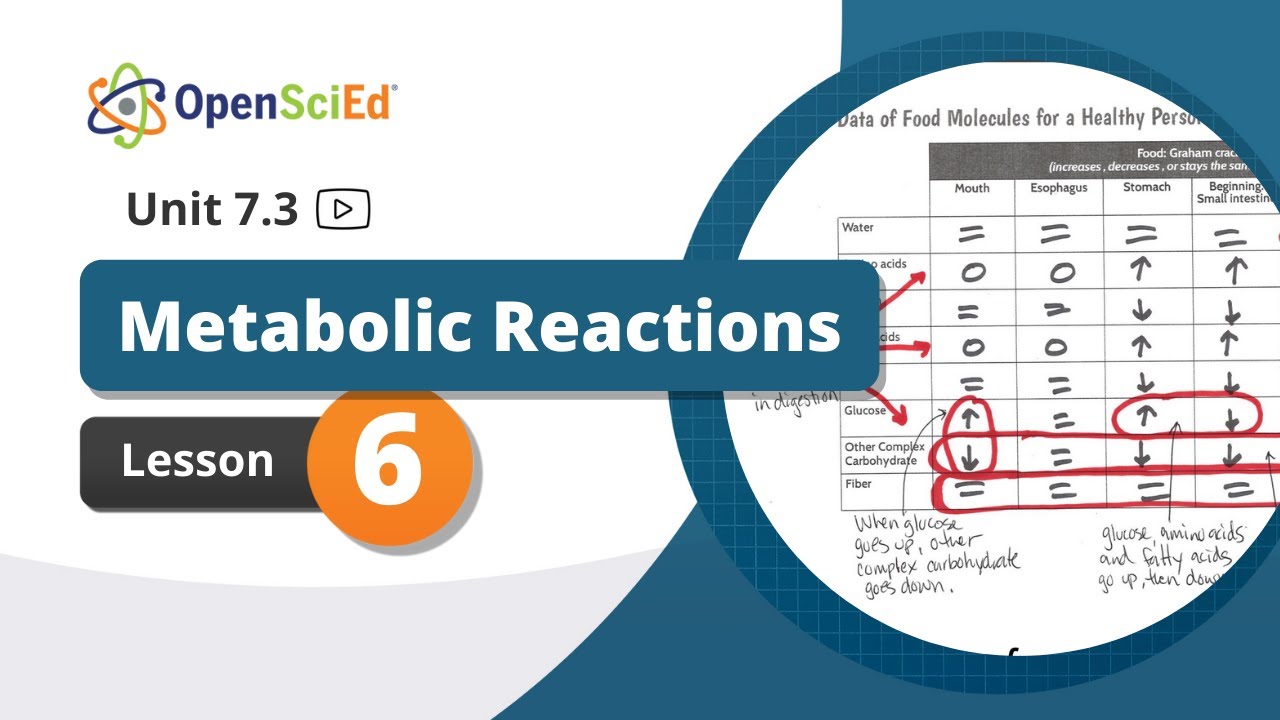 Unit 7.3 Lesson 6 | OpenSciEd On-Demand Resources