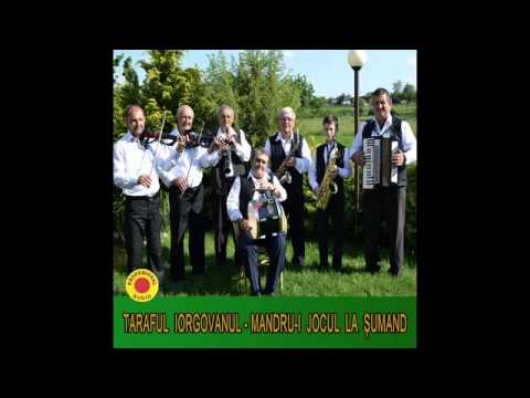 PROMO 2015 LANSARE ALBUM TARAF IORGOVANUL