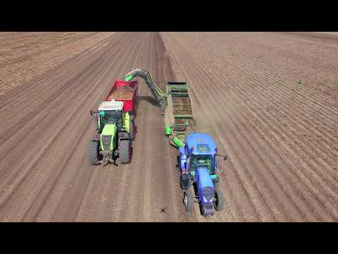 Čenej Agrar- Agricultural farm in Vojvodina, Serbia