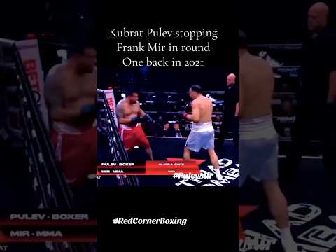 Kubrat Pulev stopping Frank Mir in round 1 back in 2021 #Boxing #MMA #PulevMir #TriadCombat1 #RCB