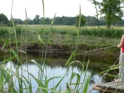 Film z Brzozowego Gaju