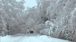 Michael Feinstein: "Sleigh Ride"