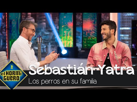Sebastián Yatra habla sobre su gran familia: "Tengo seis perros y van llegando más" - El Hormiguero