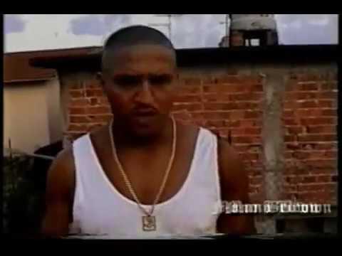 Viver No Gueto Vish - Conexão do Morro