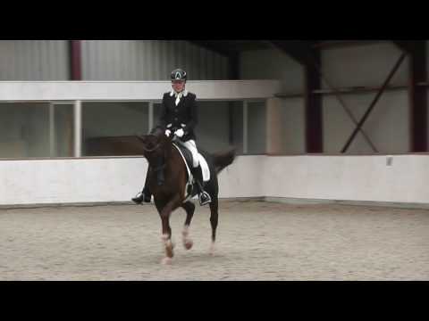 I.P.S Hilton (Bon Bravour x Jazz (A Special Poetin) gereden door Wouter Kleemans