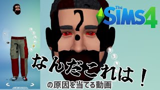 超MOD初心者の為の「CCが表示されない」シムズ4