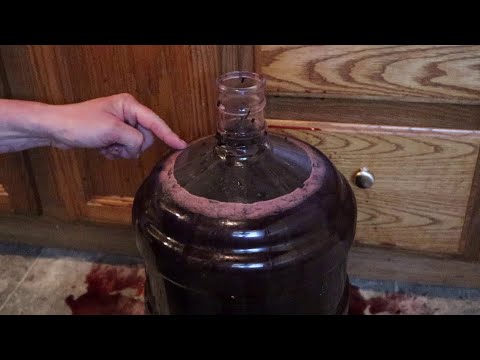 Wine Brew Pt. 2 Secondary Fermentation