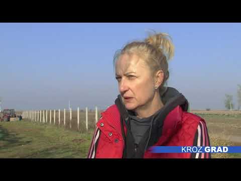 Jesenje useve treba pregledati zbog štetočina