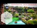 Walking Around Japanese Tea Garden In The Rain San Antonio Texas