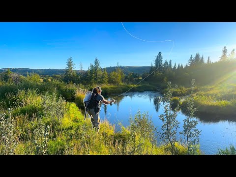 I Found Heaven Fishing Brown Trout in Saskatchewan 
