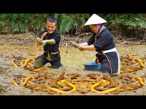 81 Days of Dwarf Family Survival - Catching Eels, Fishing and Harvesting Fruit