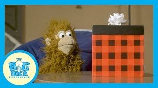 Adventures with Artie: Compassion