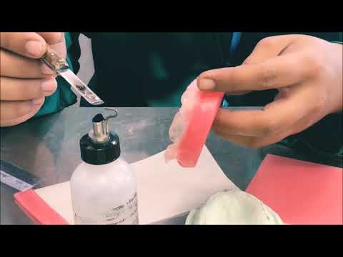 Prostho: [DENTURE] Making Occlusal/Bite Rims!