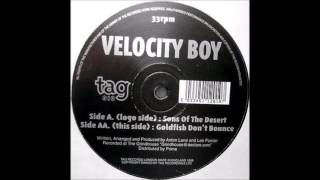 Velocity Boy - Goldfish don't bounce