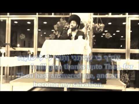 פתחו לי - מודז'יץ - PITCHU LI