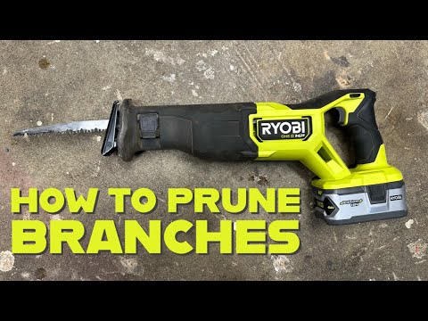 How to Properly Prune Tree Branches with a Ryobi Reciprocating Saw