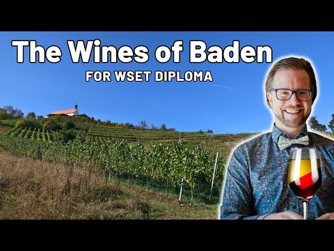 The Wines Of Baden for WSET Level 4 (Diploma)