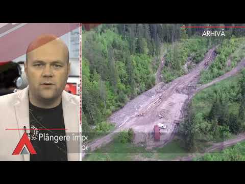 Stiri Mediafax 11 Septembrie - O maimuță umblă liberă în Sectorul 5 din București