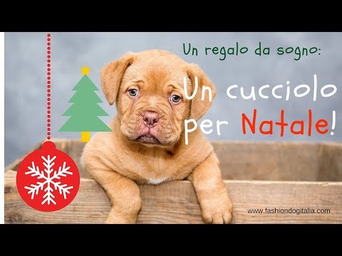 Qualsiasi insieme iniezione di mal di schiena Il dolore alle costole a sinistra restituisce