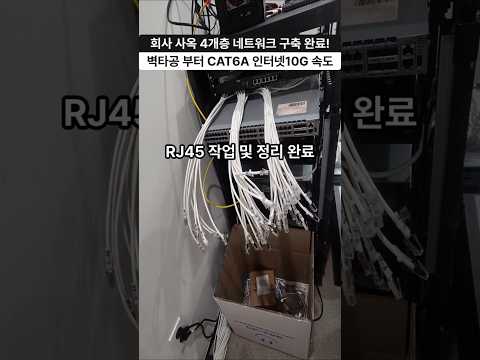회사 사옥 4개층 10G 네트워크 구축! CAT6A 랜공사부터 AP 설치까지 한 번에 완료
