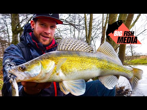 Raubfischangeln mit dem Profi: Mit Köderfisch vom Ufer auf Zander