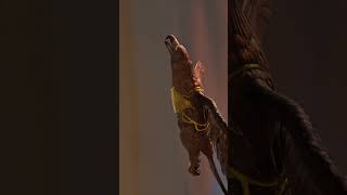 Download lagu #inspirationallife #inspirationalthoughts #inspiredaily #quotesmotivation #inspirational #viralvideo mp3 Download lagu #inspirationallife #inspirationalthoughts #inspiredaily #quotesmotivation #inspirational #viralvideo mp3