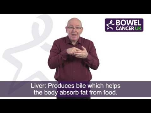 How to Sign Haber Process in BSL