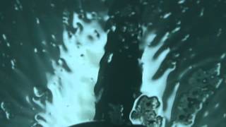 Teresa Dell, Puncha Puncha