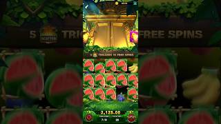 Jungle Delight — Big Wins