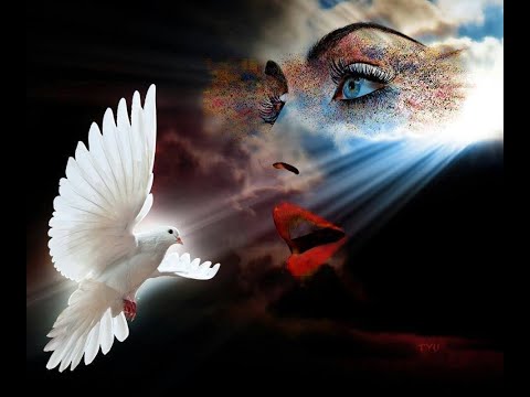 Ein Tag aus tausend Träumen***FransBauer***