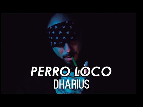 Video thumbnail for Perro Loko