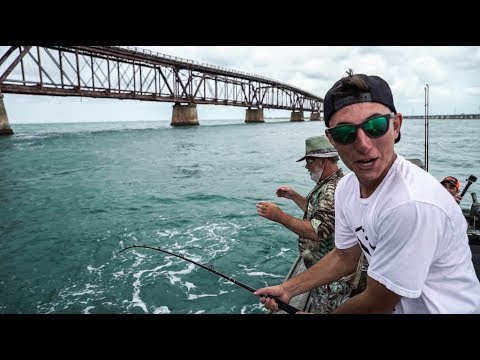 Tarpon fiskeri fra båd