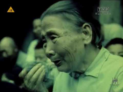 Degeneration Punk Lektor Pl