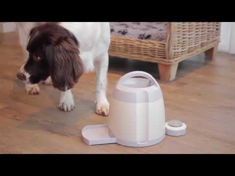 Arf Pets Dog Memory Training Dog Treat Dispenser - Yellow And White