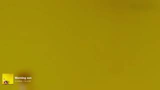 SCANDAL   Morning Sun