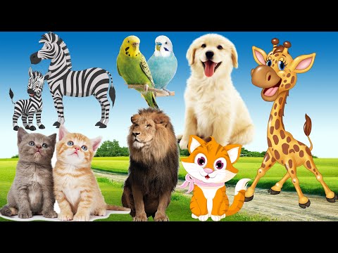 , title : 'Playful animals, a garden of animals: cows, chickens, tigers, elephants, horses, pigs, cats'