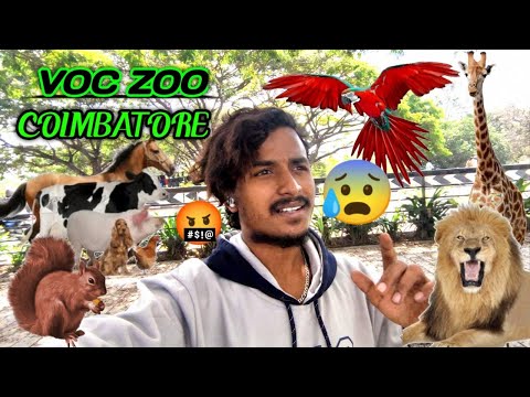 voc park🔥 coimbatore 🐯🦣🦌🐫Zoo🦁 Vlog #Animals #viralvideo  #vlog #tamil #lover #Amiyodey