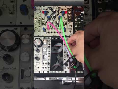 Żłób Modular SVF Low Pass riff