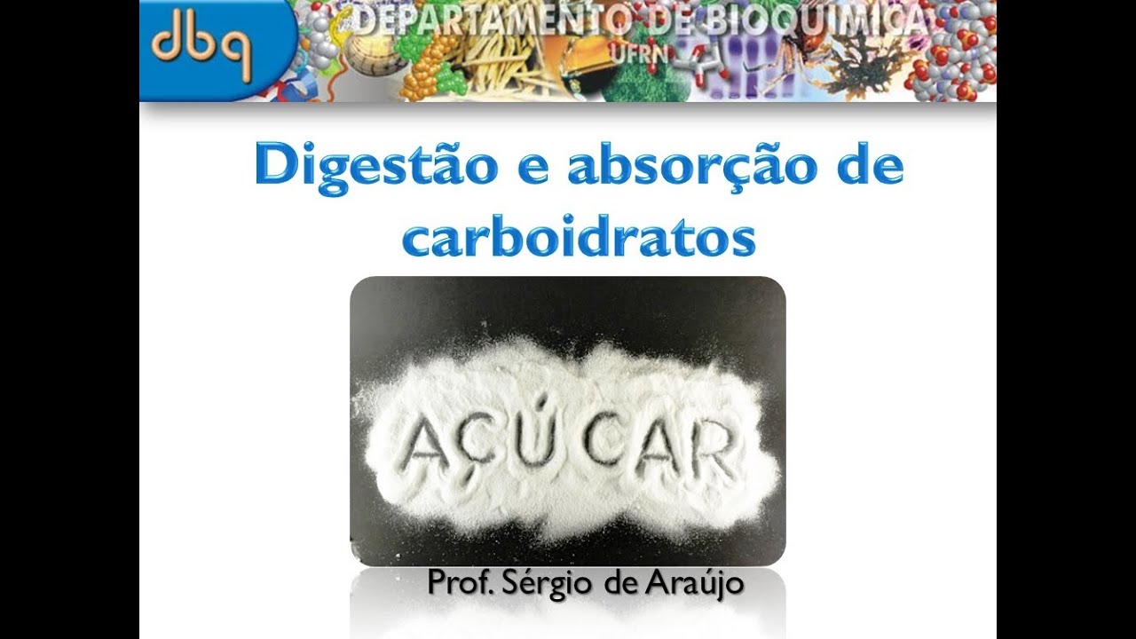 Curso de Bioquímica: Video aula digestao e absorcao de carboidratos