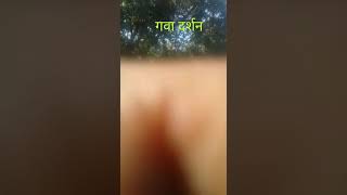 preview picture of video 'रानटी गवा रेडा । gava reda at vishalgad'