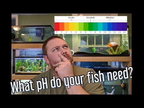 YouTube video about: How to lower the ph in a fish tank?