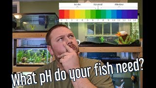 Aquarium pH - How to raise and lower pH, and do you need to?