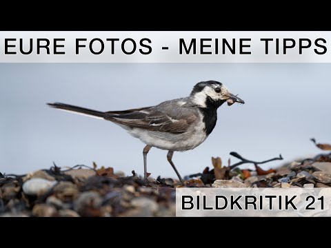 So könntest du deine Fotos verbessern - Bildkritik 21 (Patreon & YouTube Mitglieder)
