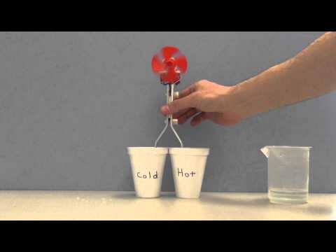 Thermoelectric Effect Demonstration Demonstrator
