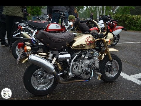 Takegawa 125cc Scut DOHC Desmo Dryclutch TDMR 32 | Honda Monkey Gold 1984