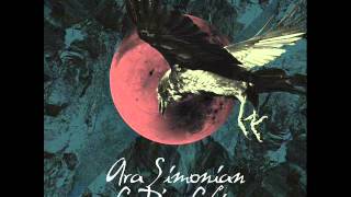 Ara Simonian - CD's on Chin (Emerson Todd's Backroads Remix)